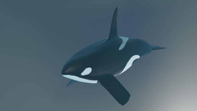 A render of a sculpt of an orca