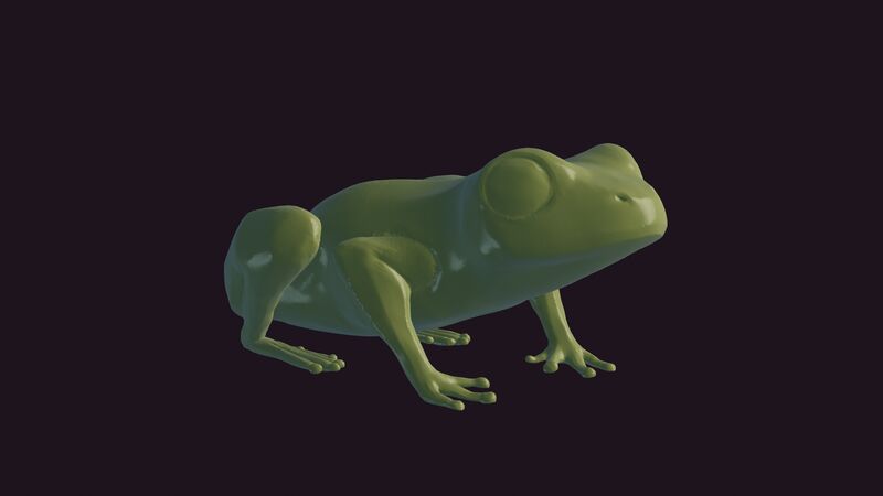 A render of a sculpt of a frog