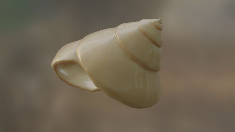 A render of a sculpt of a sea shell